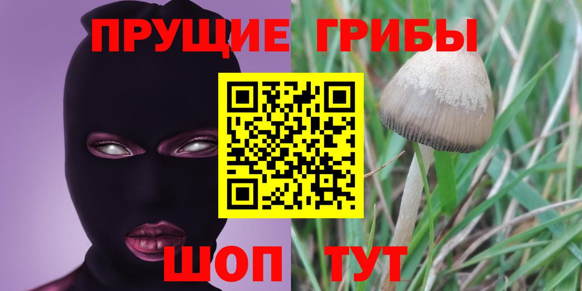 Галлюциногенные грибы мухоморы  Вход с VPN  Беслан  Галлюциногенные грибы MAGIC MUSHROOMS 